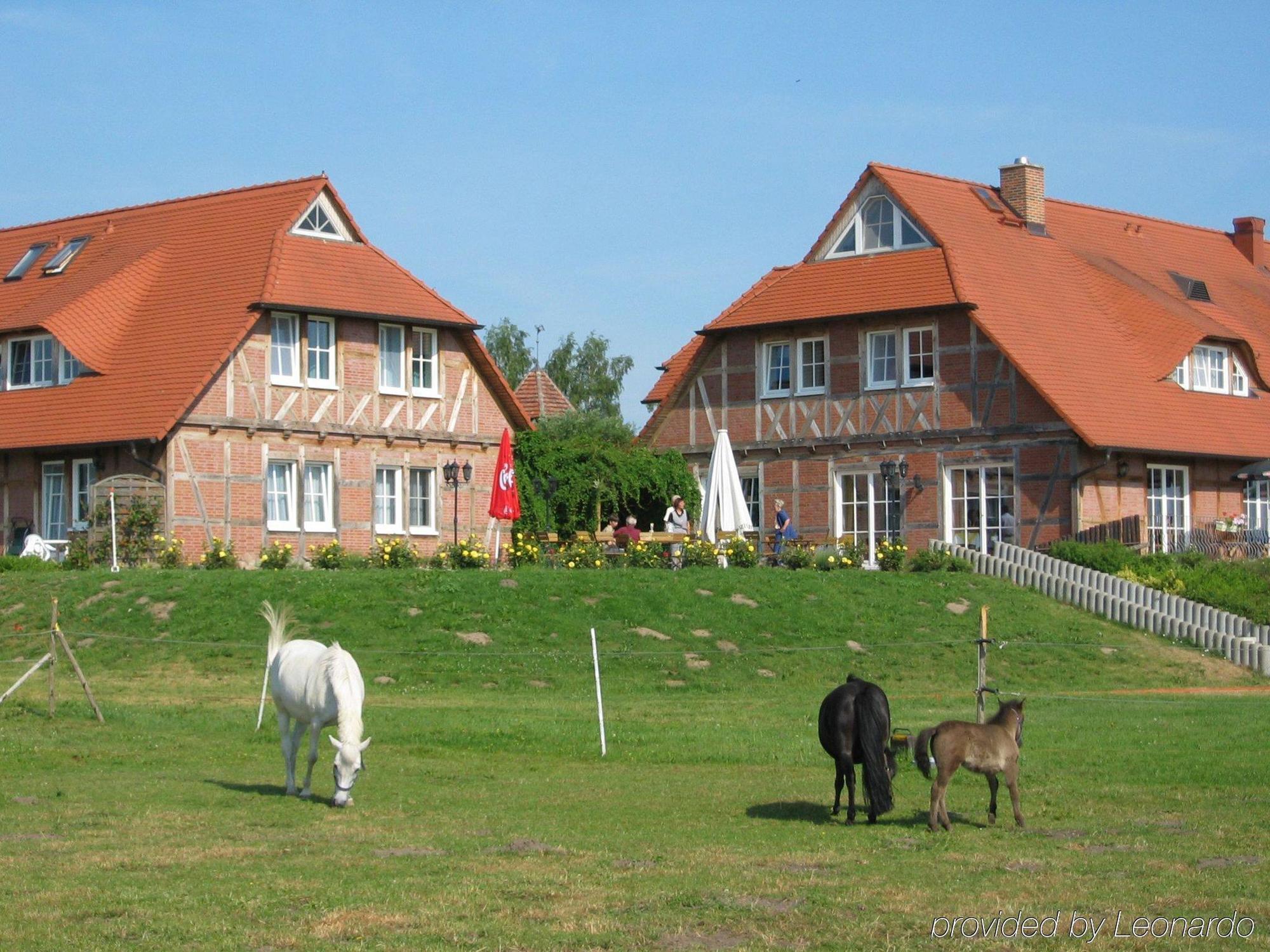 Flair Seehotel Zielow Ludorf Eksteriør billede
